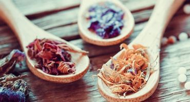 formation naturopathe
