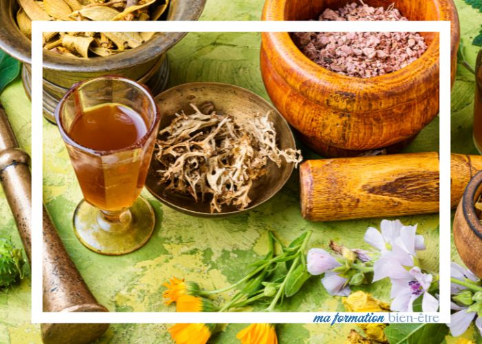 La naturopathie